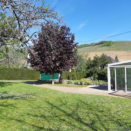 Villa/Appartement Au Coeur Des Vignes *** Barr Exteriör bild