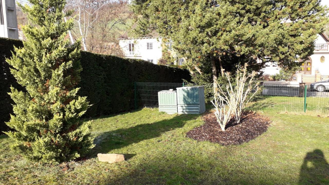 Villa/Appartement Au Coeur Des Vignes *** Barr Exteriör bild
