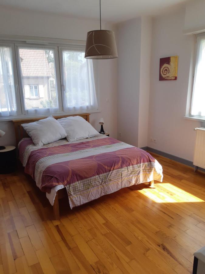 Villa/Appartement Au Coeur Des Vignes *** Barr Exteriör bild